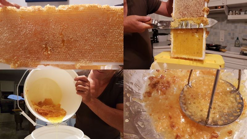 extraction miel 2018